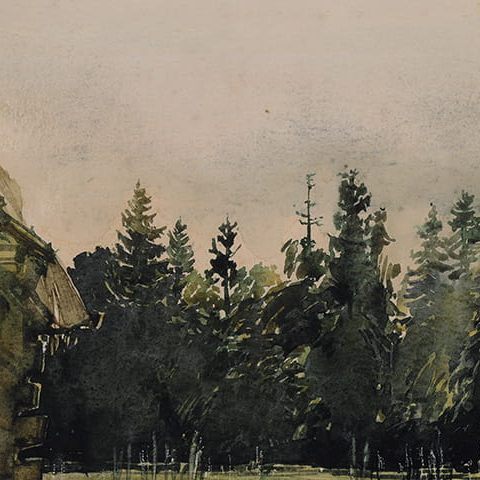 Białowieża, puszcza (1955)
