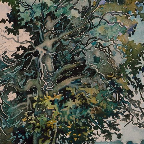 Kazimierz Dolny – Stary dąb (1950)