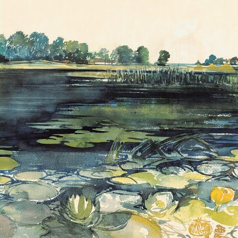 Narew koło Tykocina (1971)