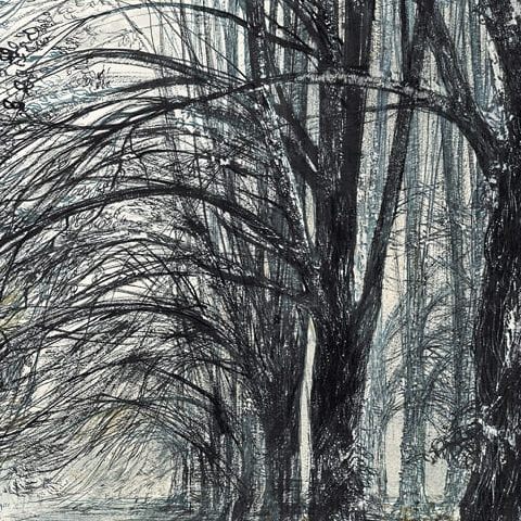 Podębie na Mazowszu, aleja lipowa (1966)