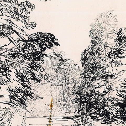 Podębie na Mazowszu, zagajnik leśny w czasie wichury, czarne konary (1966)