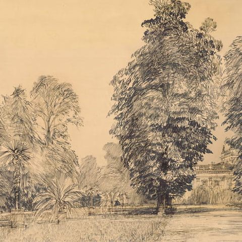 Warszawa, Łazienki – fragment parku, w głębi pałac (1964)