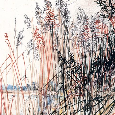 Warszawa – Sadyba, Jeziorko Czerniakowskie (1995)